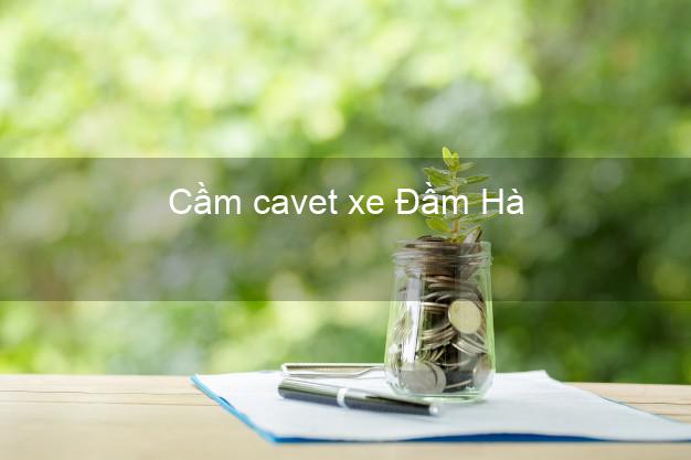 Cầm cavet xe Đầm Hà Quảng Ninh