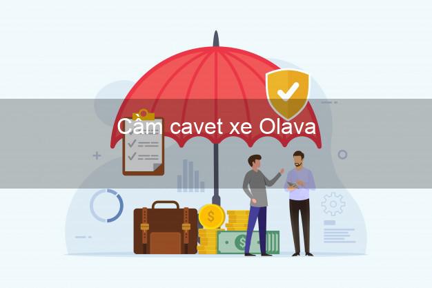 Cầm cavet xe Olava Online